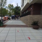 Attendees gather for "ribbon-chewing" by Cause for Paws rescue dog at The Lincoln Apartments