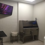 Pet wash area for residents of The Lincoln Apartments