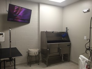 Pet wash area for residents of The Lincoln Apartments